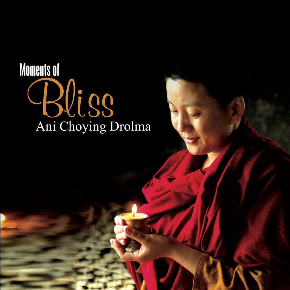 Picture of Ani Choying Drolma