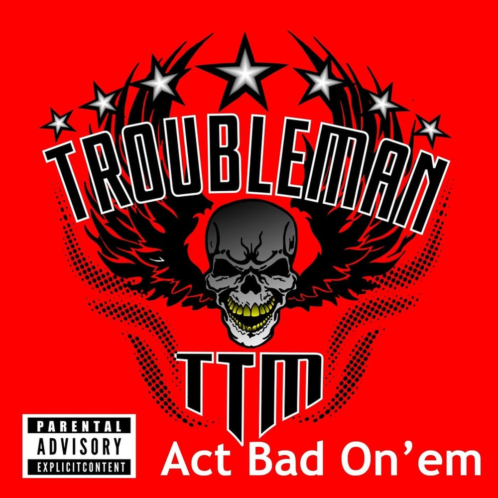 Photo de l'artiste Troubleman