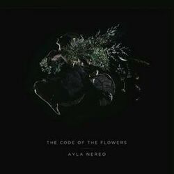 Picture of Ayla Nereo