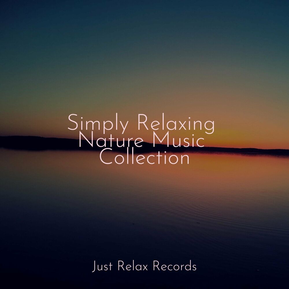 Picture of Sonido Del Bosque y Naturaleza