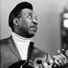 Muddy Waters