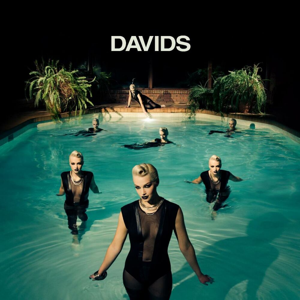Picture of Davids