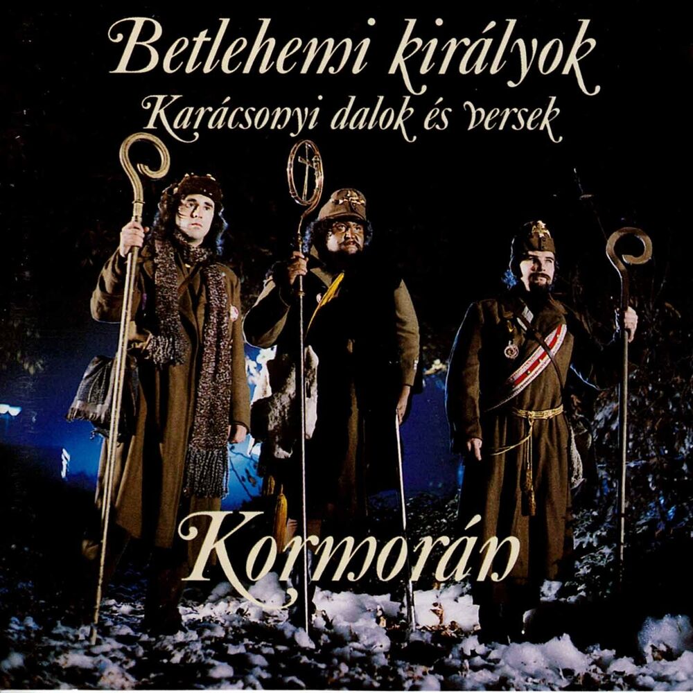 Picture of Kormoran