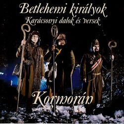 Picture of Kormoran