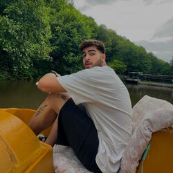 Picture of Zedi