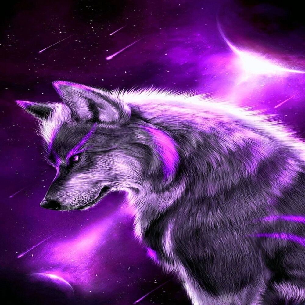 Picture of XanTz