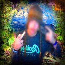 Picture of SMOKEDOPE2016