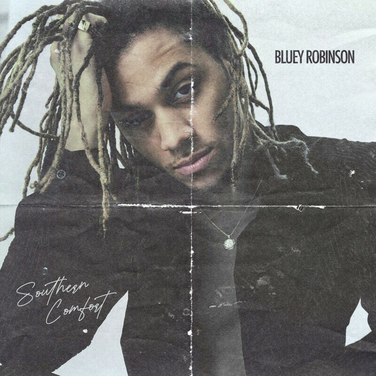 Artist picture of Bluey Robinson