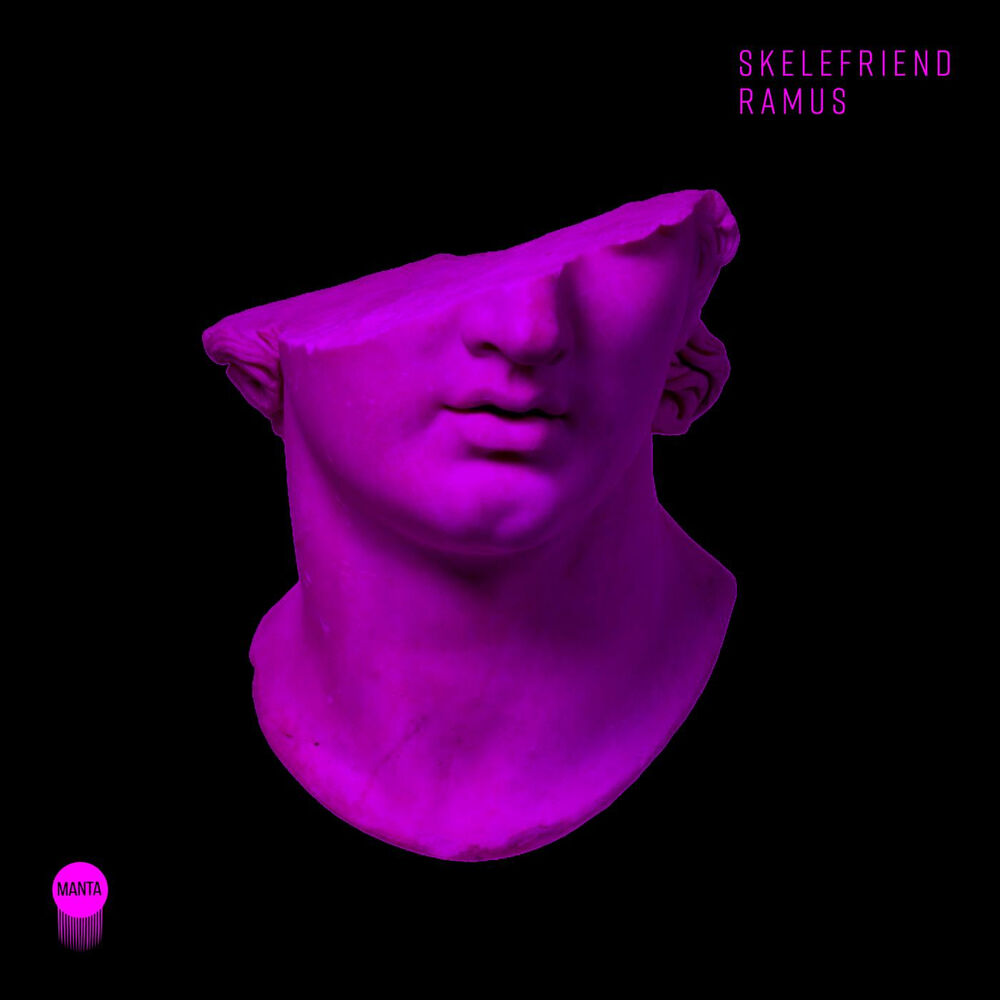 Picture of Skelefriend