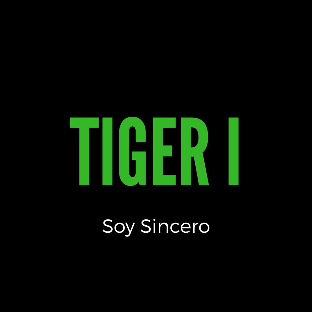 Picture of TIGER I