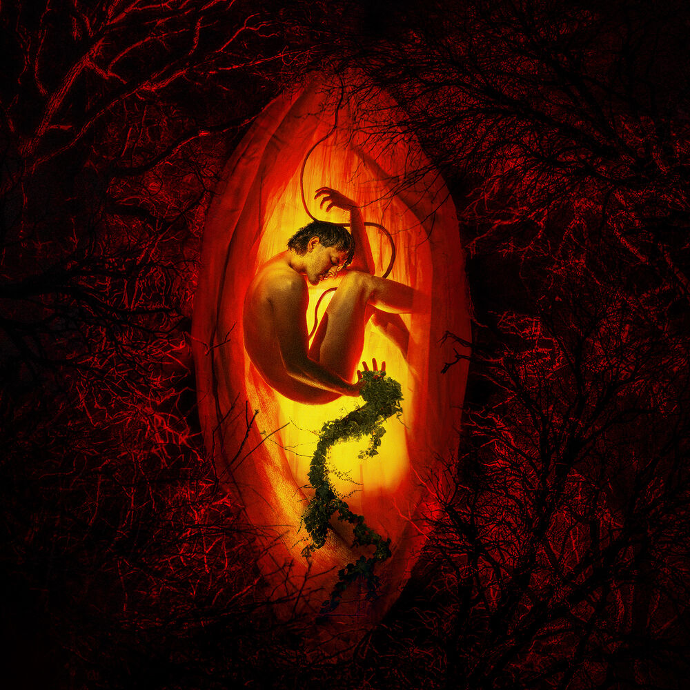 Picture of Moony