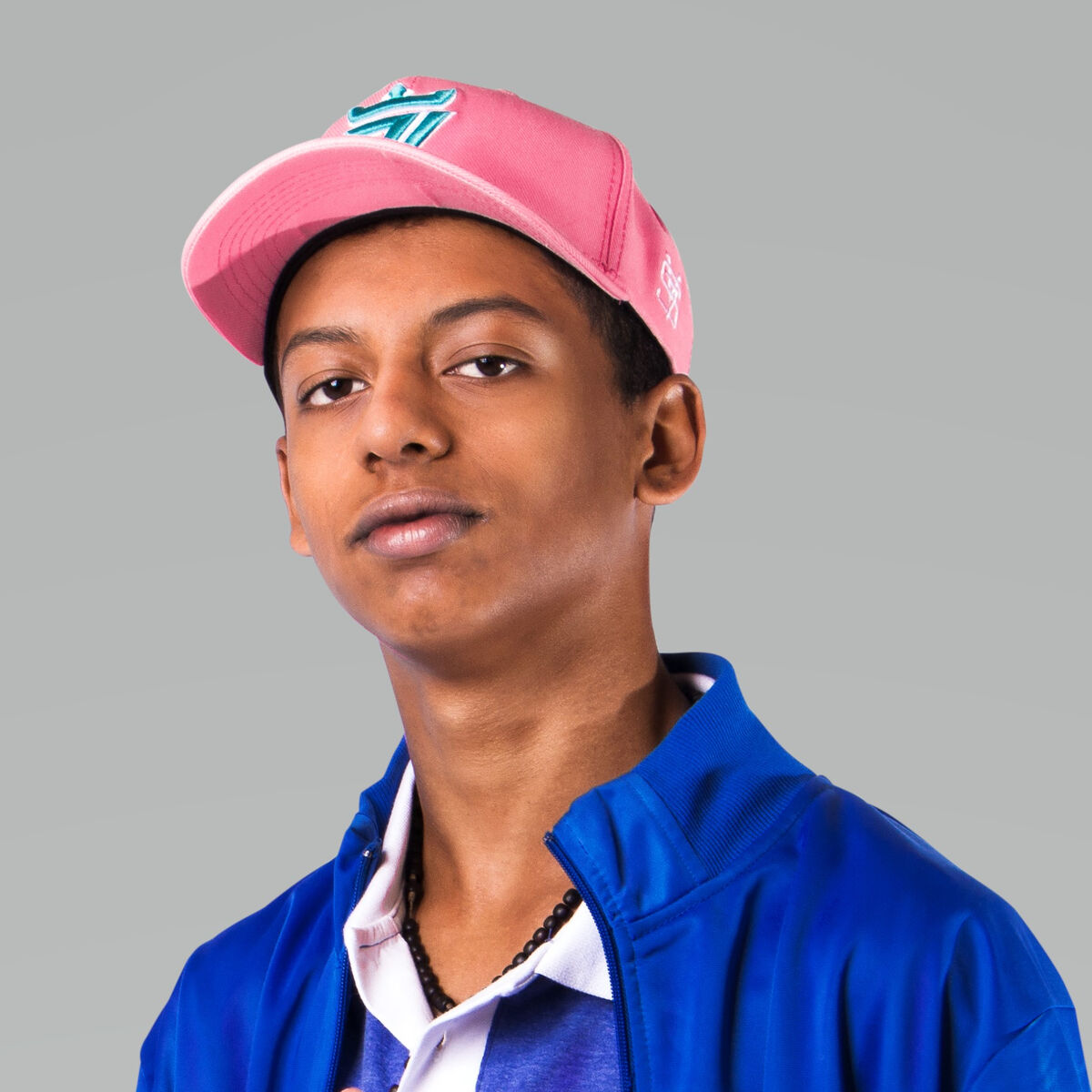 Artist picture of MC Levin