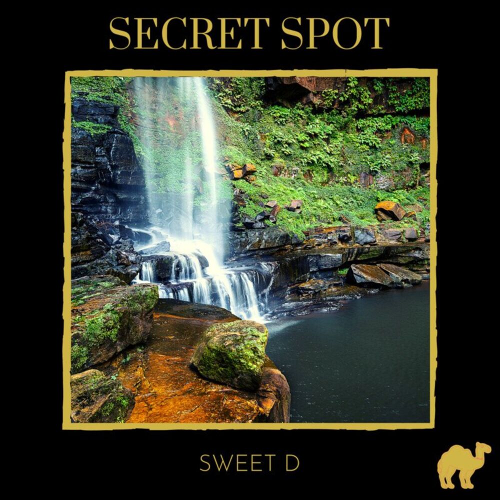 Picture of Sweet D
