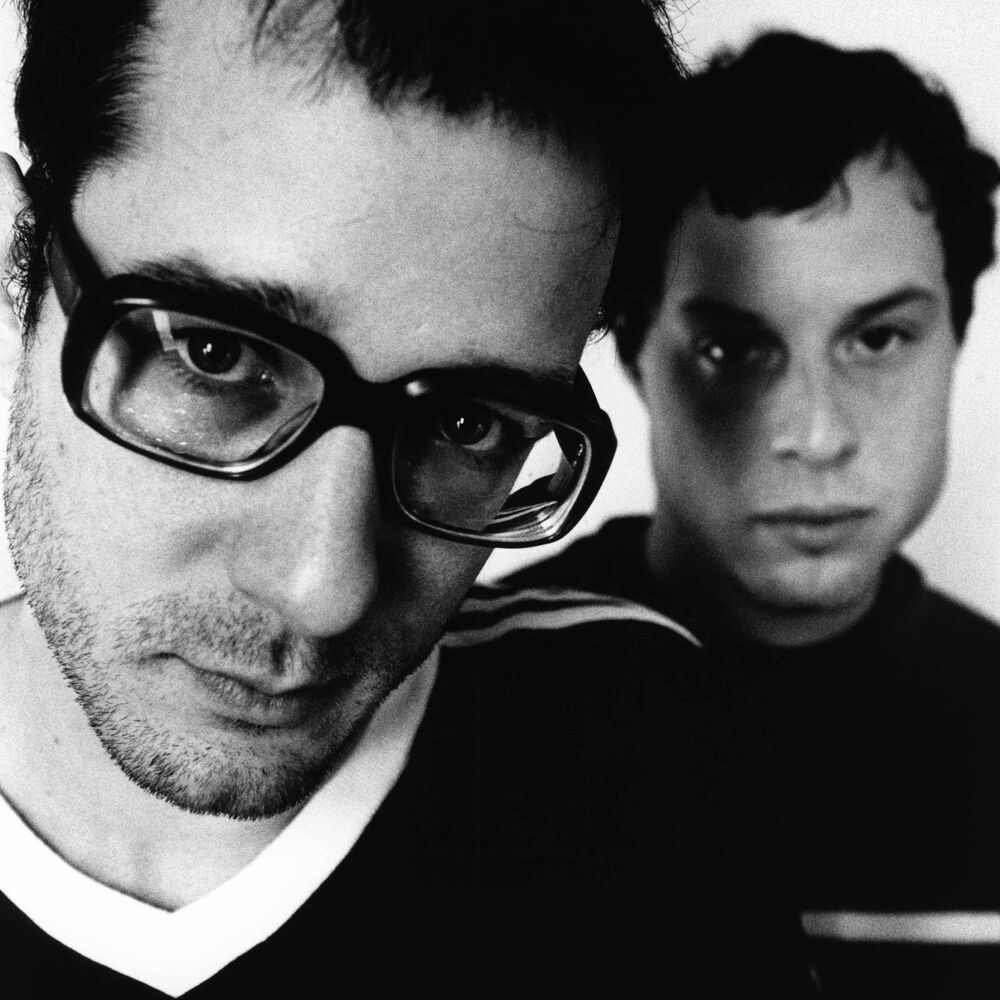Picture of The Rentals