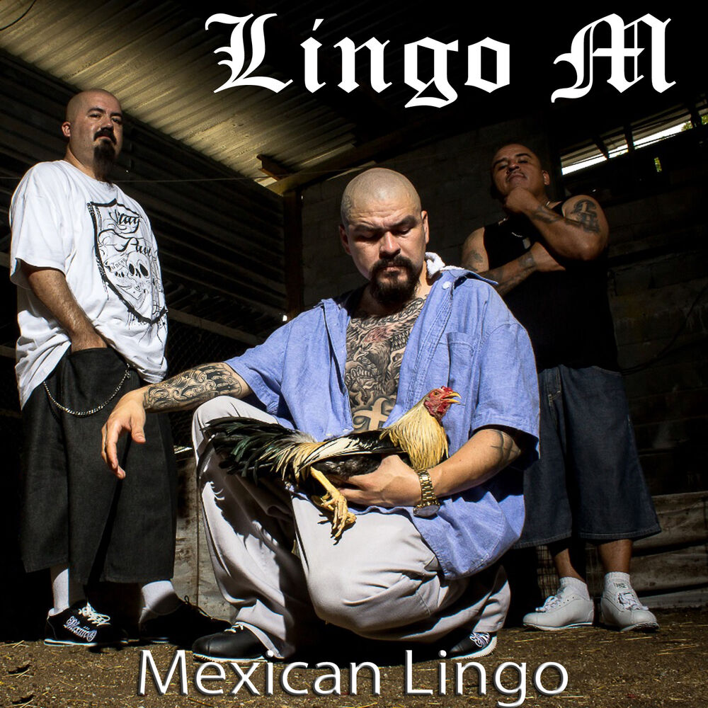 Picture of Lingo M