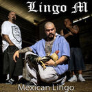 Lingo M