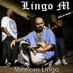 Picture of Lingo M