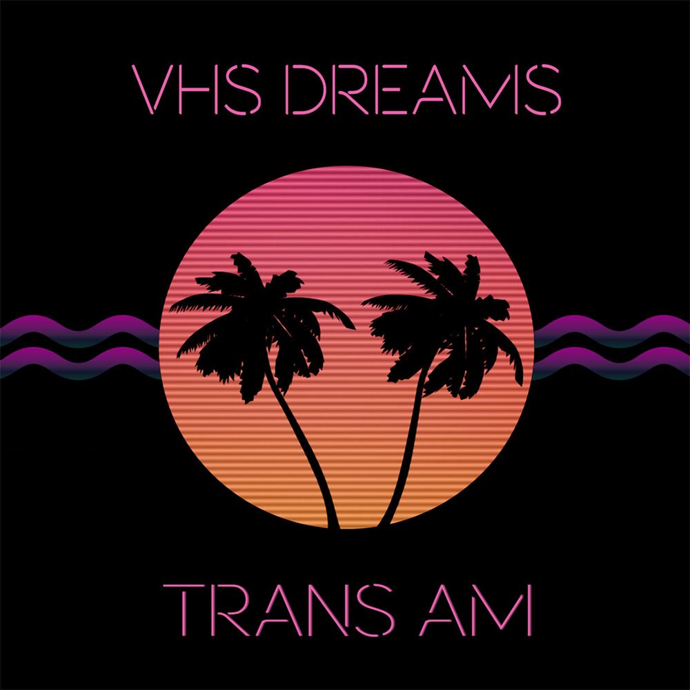 Picture of VHS Dreams