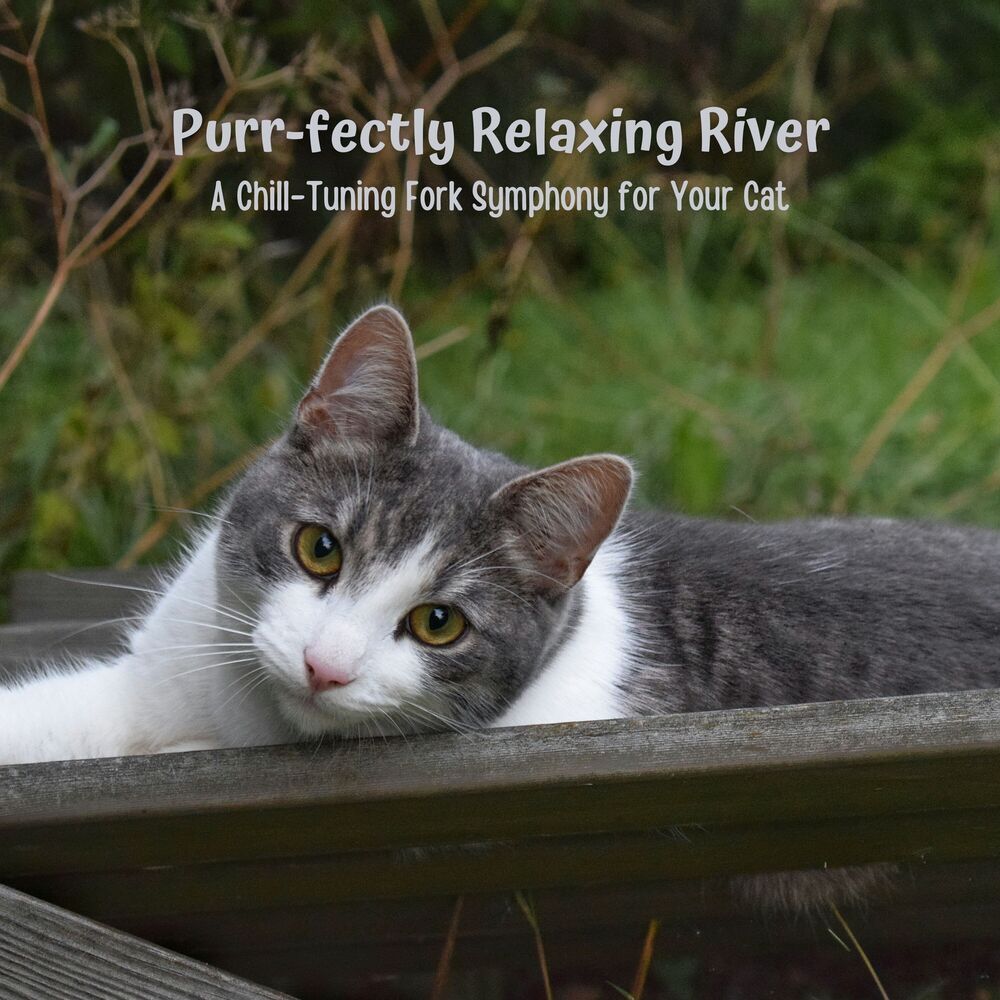 Picture of Moods & Water sounds