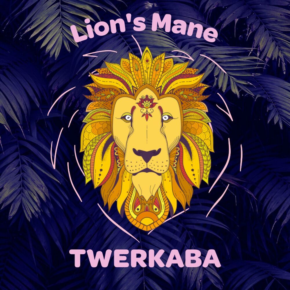 Picture of Twerkaba