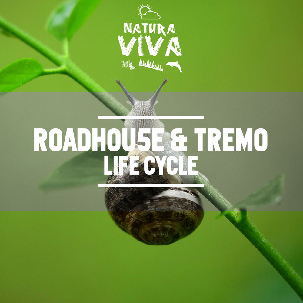 Picture of Tremo