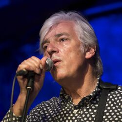 Picture of Robyn Hitchcock