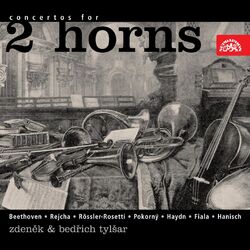 Picture of Dvorak Chamber Orchestra