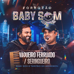 Forrozo Baby Som