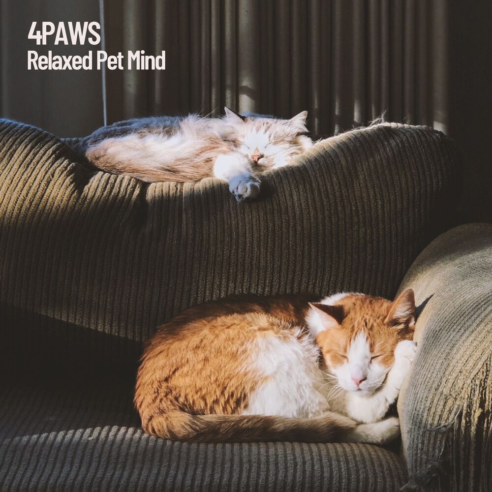 Picture of Dogs music