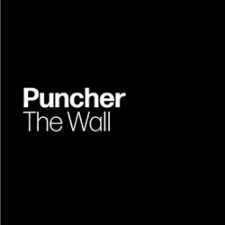 Picture of Puncher