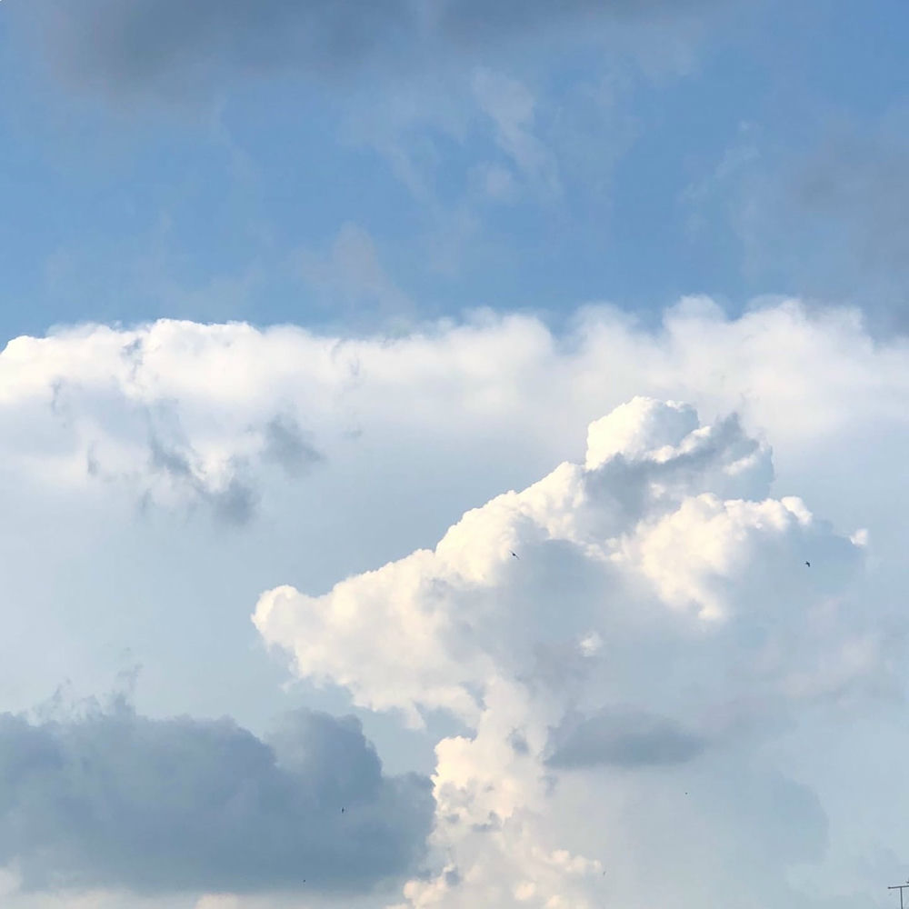 Photo de l'artiste MATILDA