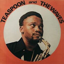 Picture of Teaspoon and The Waves