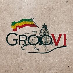 Picture of GrooVI