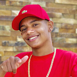 Picture of Mc Menor HR