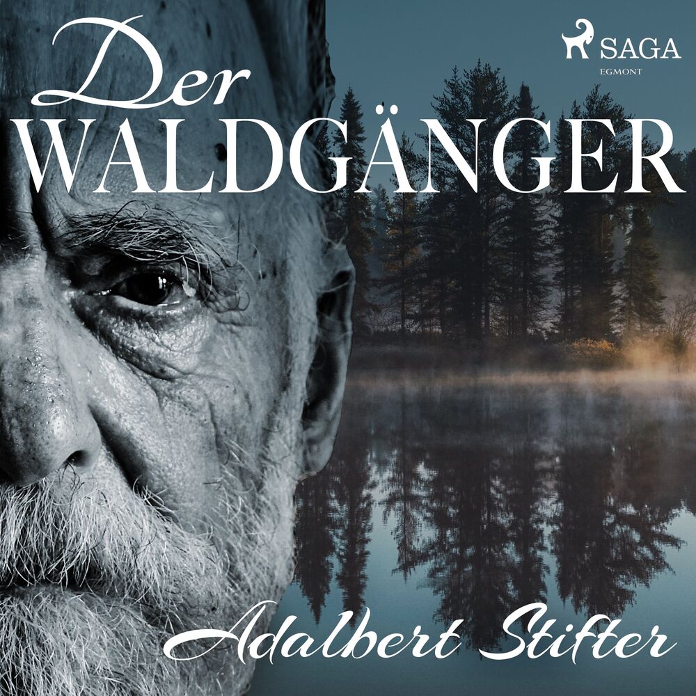 Picture of Adalbert Stifter