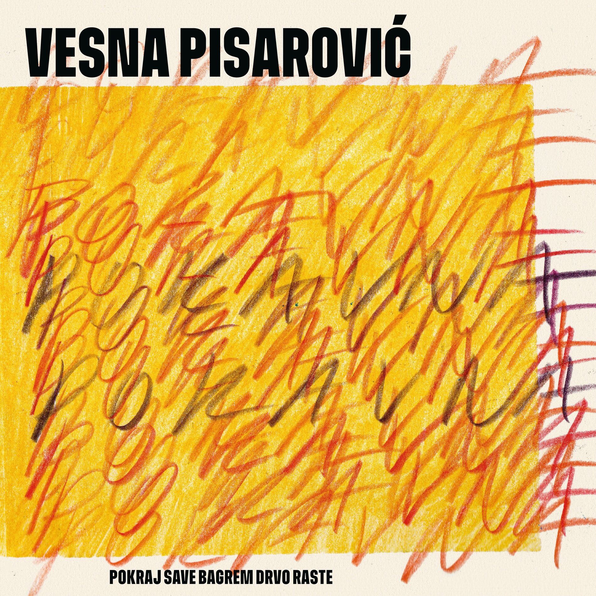 Vesna Pisarovic