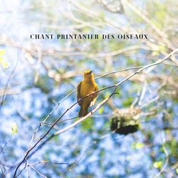 Picture of Apaisante Nature Musique Oasis