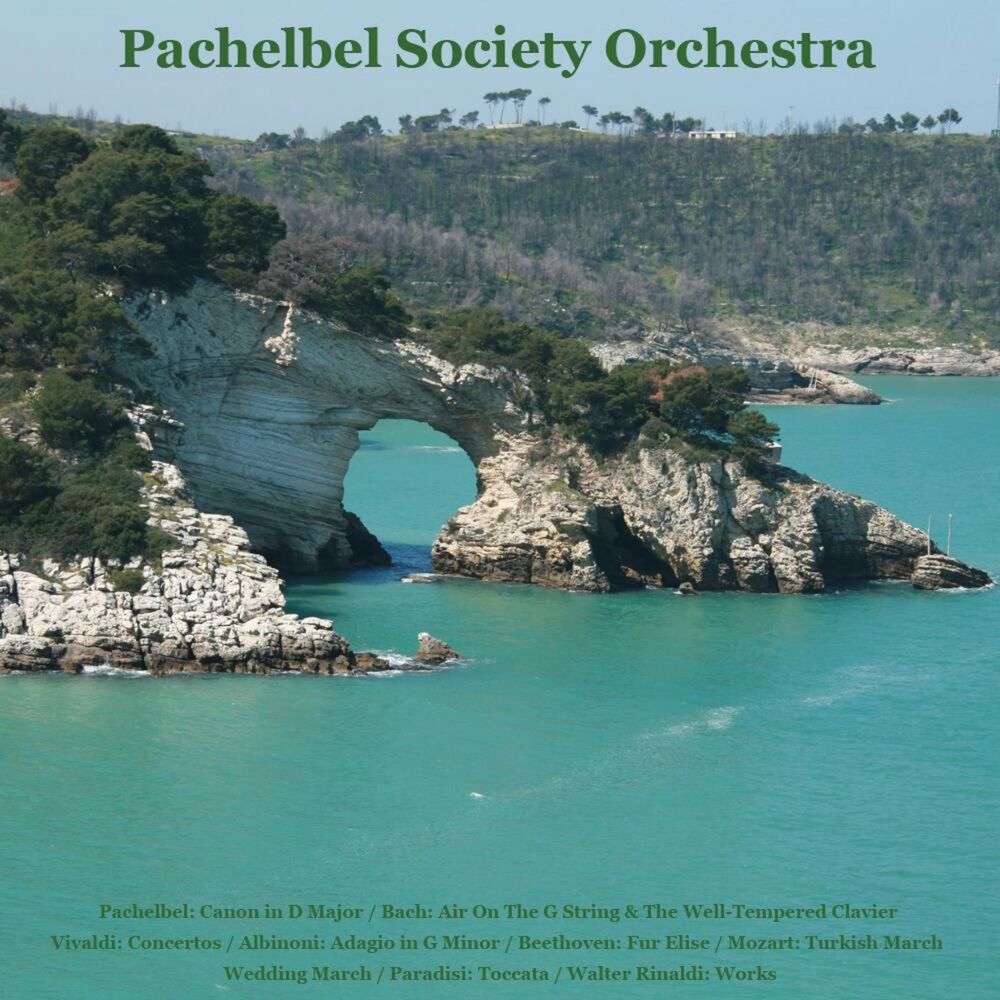 Picture of Pachelbel Society Orchestra
