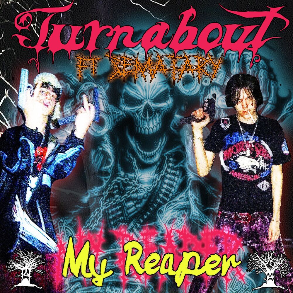 Picture of Turnabout