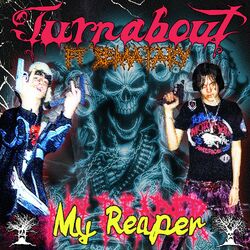 Picture of Turnabout