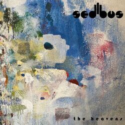 Picture of Sedibus