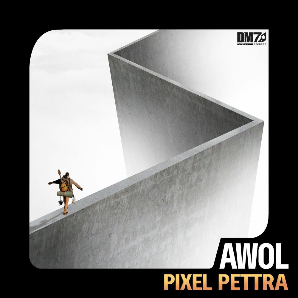 Picture of Pixel