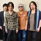 the pillows