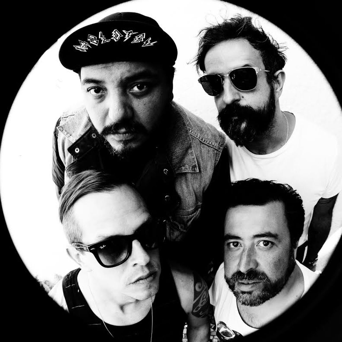 Artist picture of Molotov