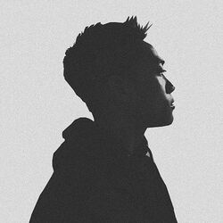 Picture of Jinsang