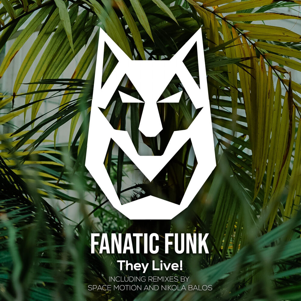 Picture of Fanatic Funk