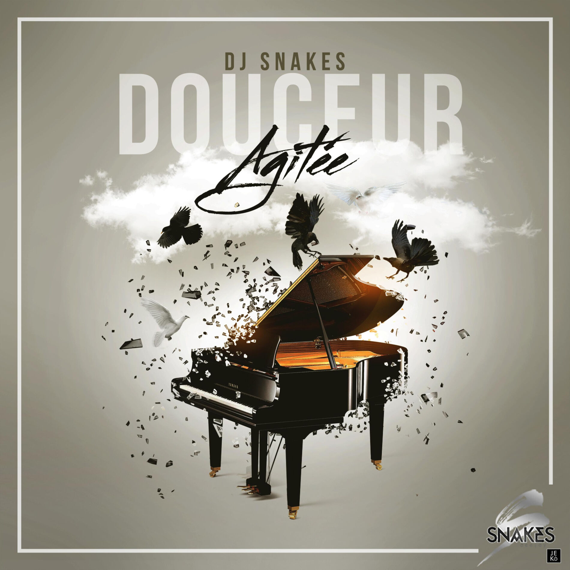 Dj Snakes