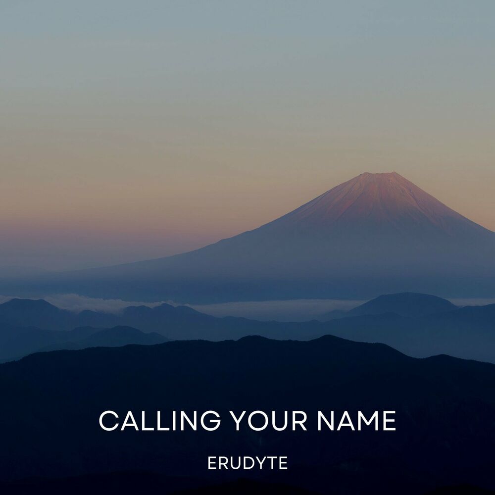 Picture of Erudyte