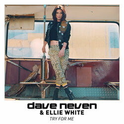 Picture of Dave Neven