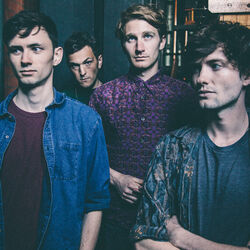 Picture of Glass Animals